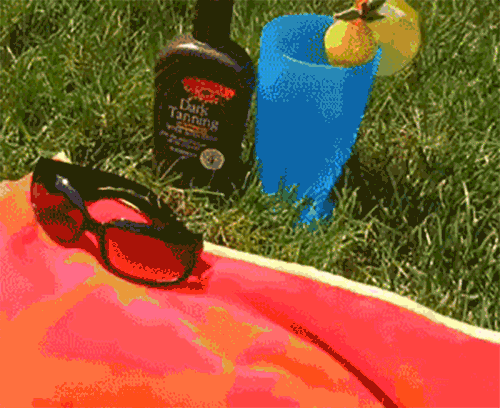 Dog Sunbathing In Bikini