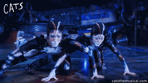 Look Up GIF by Cats the Musical - Find & Share on GIPHY