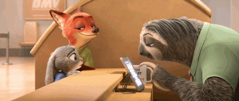 Disney Zootopia GIF - Find & Share on GIPHY
