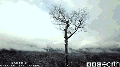 Four Seasons In One Day Changes GIF by BBC Earth - Find & Share on ...
