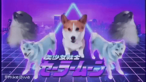 Dog Meme GIF by Mike Diva - Find & Share on GIPHY
