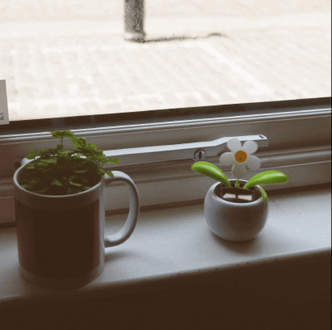 Teacup and Saucer Flower Arrangement