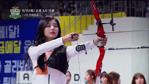 Bow And Arrow Archery GIF - Find & Share on GIPHY