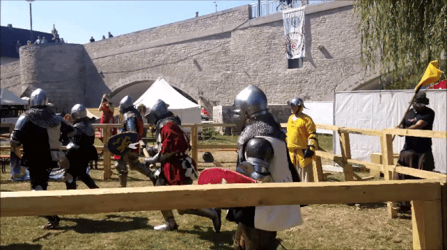 giphy-downsized-large.gif