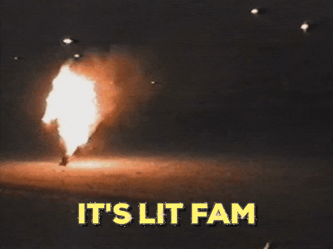 Image result for it's lit fam gif