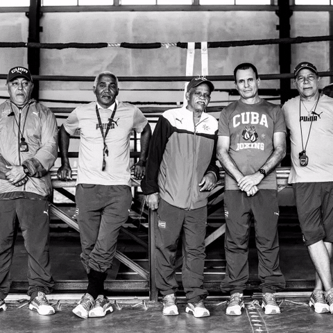 puma boxing puma boxing