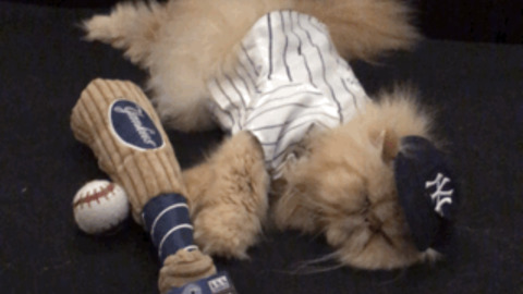 Sleeping Time best Gif