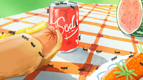 Hot Dog Ants GIF by GIPHY Studios Originals - Find & Share on GIPHY