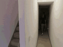 external_gif
