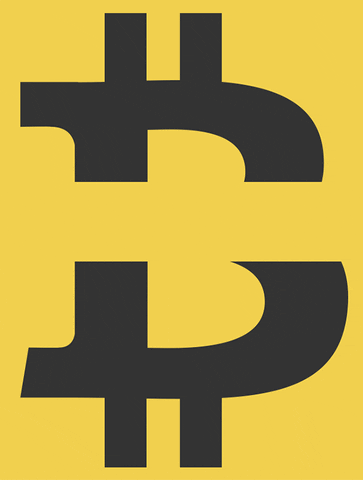 Primer money treasure bitcoin bucks