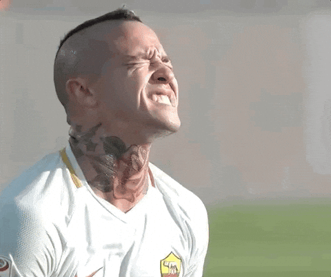 Ο Zlatan και άλλοι παικταράδες που δεν θα βρεθούν στο Μουντιάλ - εικόνα 3