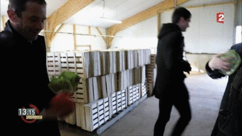 Humour GIF by franceinfo