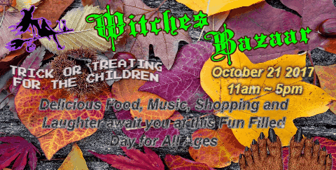 Willow witches bazaar 2017 3