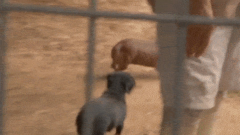 Playing time best Gif