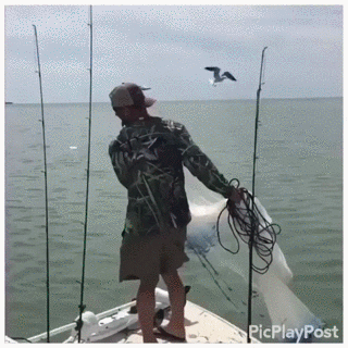 Fail At Its Best in funny gifs