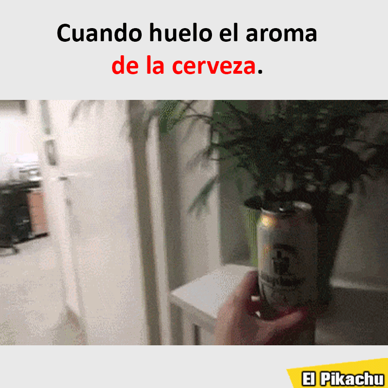 imagenes gif,imagenes graciosas, las mejores imagenes, imagenes graciosas, chistes, risas