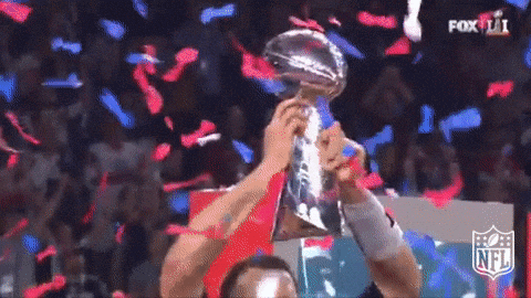 NFL football win super bowl new england patriots