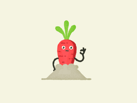 Carrot GIFs Get The Best GIF On GIPHY