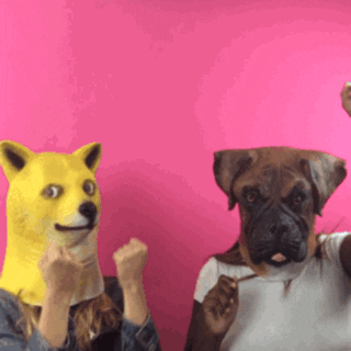 Dogs Dancing GIF by Fashion Institute of Design & Merchandising - Find