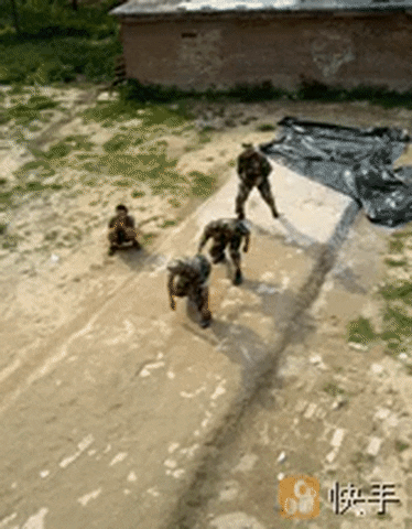 giphy.gif