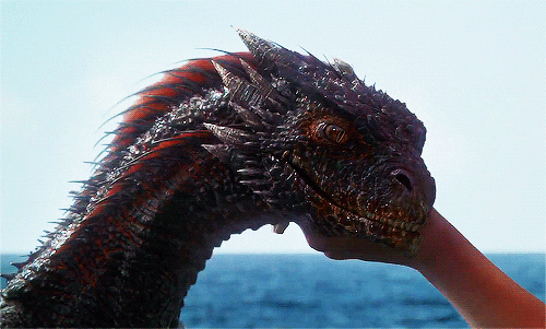 hbo game of thrones random dragon game of thrones gif