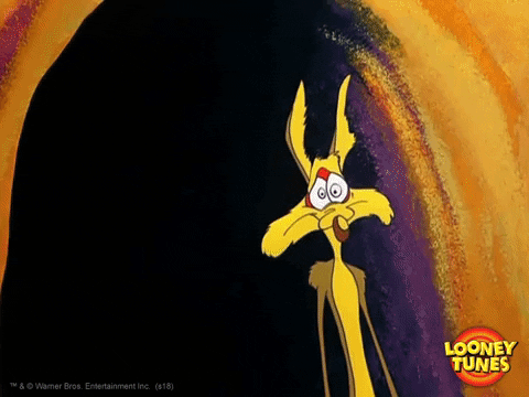Wile E Coyote No GIF by Looney Tunes - Find & Share on GIPHY