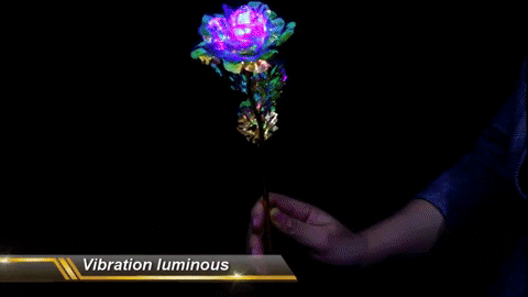Forever Galaxy Rose-galaxy rose-24k gold rose-rose flower-rose in a glass