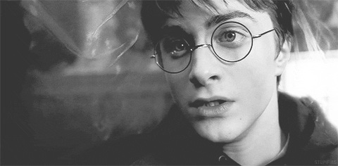 Capa de invisibilidad Harry Potter 