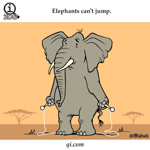 Fun Facts GIF Find & Share on GIPHY