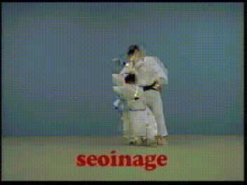 judo leg sweep gif