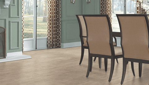 2014 Forest Hills Drive GIF