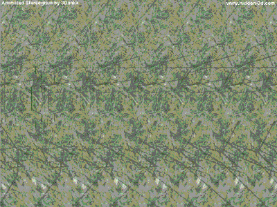 Magic Eye GIF - Find & Share on GIPHY