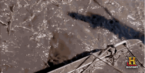 Swamp People animated GIF