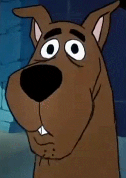 Scared Scooby Doo GIF - Find & Share on GIPHY