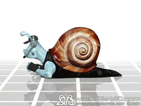 Snail GIF - Find & Share on GIPHY