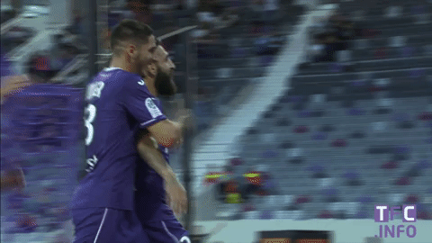 Toulouse Football Club GIF