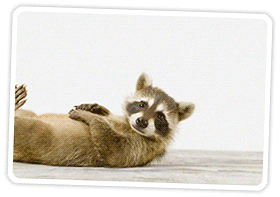 add two pictures to gif add two pictures to gif