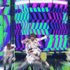 https://media.giphy.com/media/2KQ7JUEHDmh9CteTUh/giphy.gif