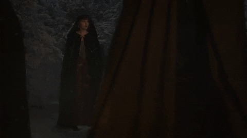 Willow GIF by Taylor Swift