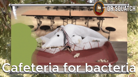 Dr. Squatch animated GIF about bacteria being a cafeteria for odor