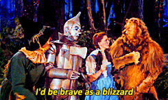 Wizard of Oz Gif of Dorothy with the Tin Man, Lion, Scarecrow, on the bottom in yellow letters it says, "I'd be brave as a blizzard"