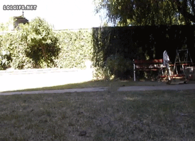 Video Ad Gif Video Ad Gif