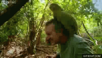 [Image: giphy.gif]
