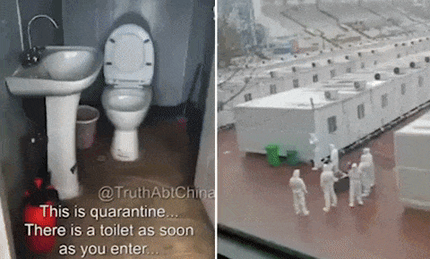 giphy-downsized-large.gif