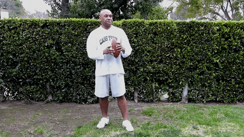 Inside The Nfl Football GIF by Robert E Blackmon