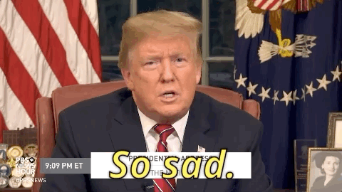 Sad Donald Trump GIF - Find & Share on GIPHY