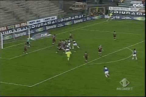 Rovesciata Reggina GIF by nss sports