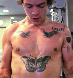 harry styles shirtless gif 2022