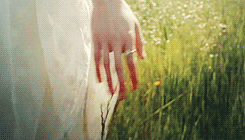 Sofia Coppola Grass GIF