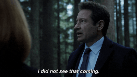 Scully Mulder GIF by The X-Files